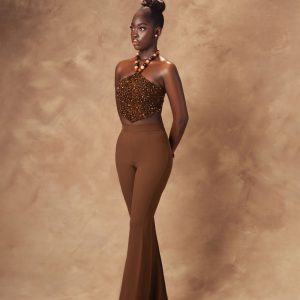 beautiful-armless-dress